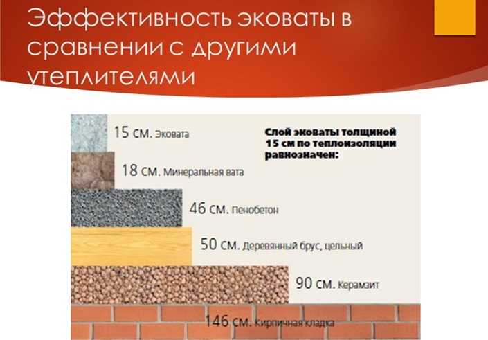 Эковата из конопли когда созревает дикорастущая конопля