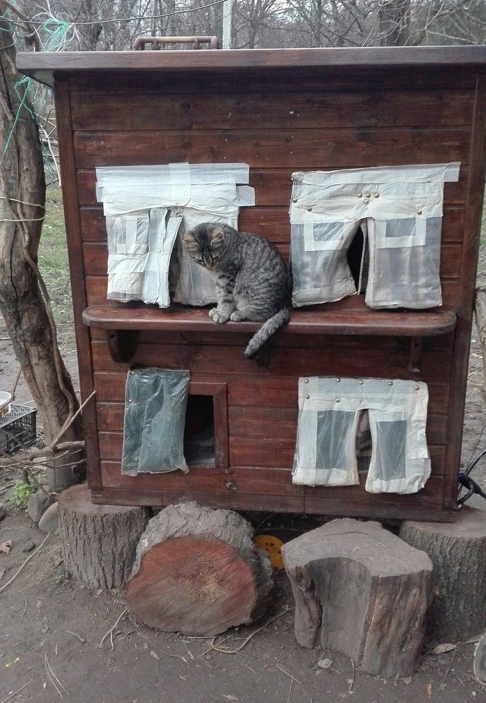 Домик для уличной кошки: Уличный домик для кошки  в СПб | Домики .