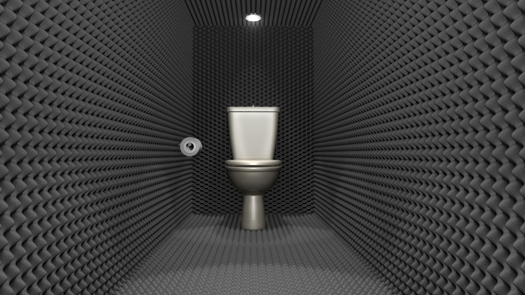 Как сделать шумоизоляцию в туалете: как сделать шумоизоляцию в ванной .