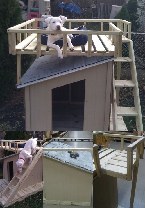 Fit for a King - 15 Brilliant DIY Dog Houses With Free Plans For Your Furry Companion