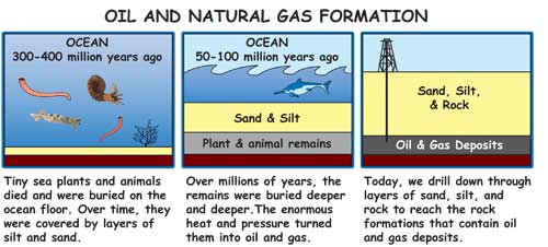 Three drawings: Before the dinosaurs, many plants died in swamps. Over millions of years, the plants were buried under water and dirt. Heat and pressure turned the dead plants and animals into coal.