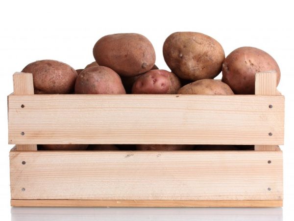 Срок хранения картофеля можно увеличить