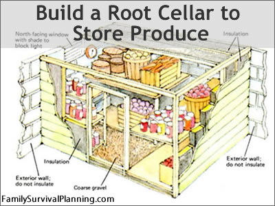 basement-root-cellar