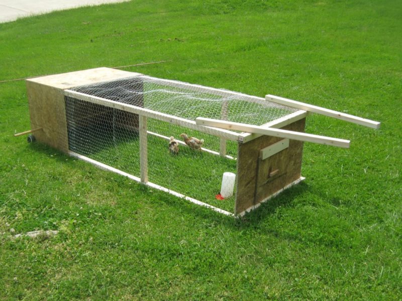 chicken housing tractor