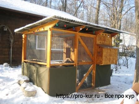 Утепление курятника изнутри на зиму своими руками. 