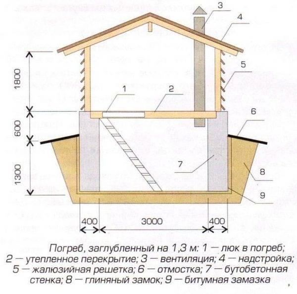 Планировка полок в погребе